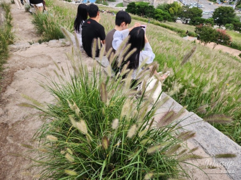 Beautiful Scenery
