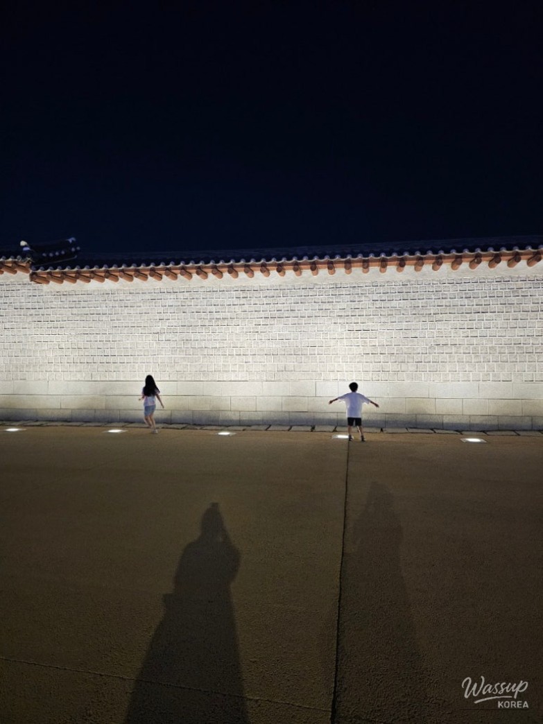 매력적인 사진