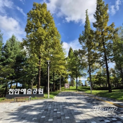 흥미로운 이미지