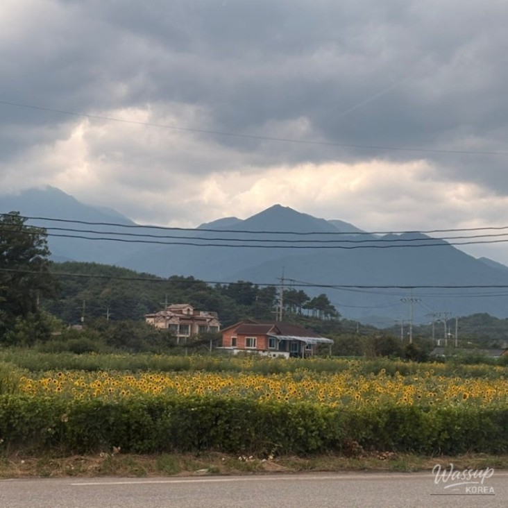 Peaceful Landscape