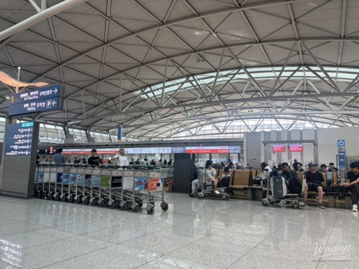 놀라운 광경