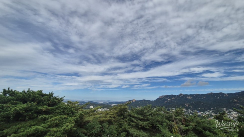 νλ €ν μ₯λ©΄