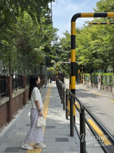 흥미로운 이미지