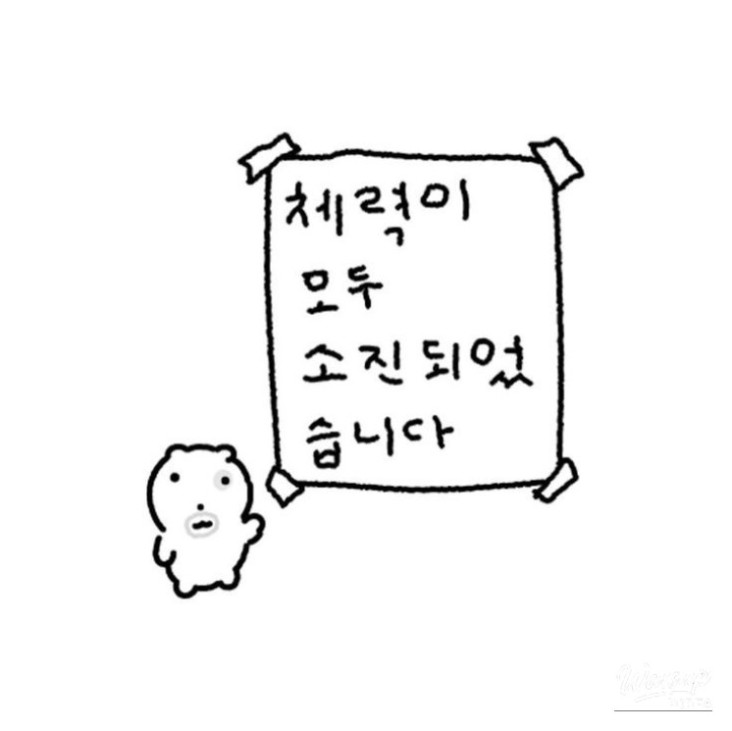 매력적인 사진