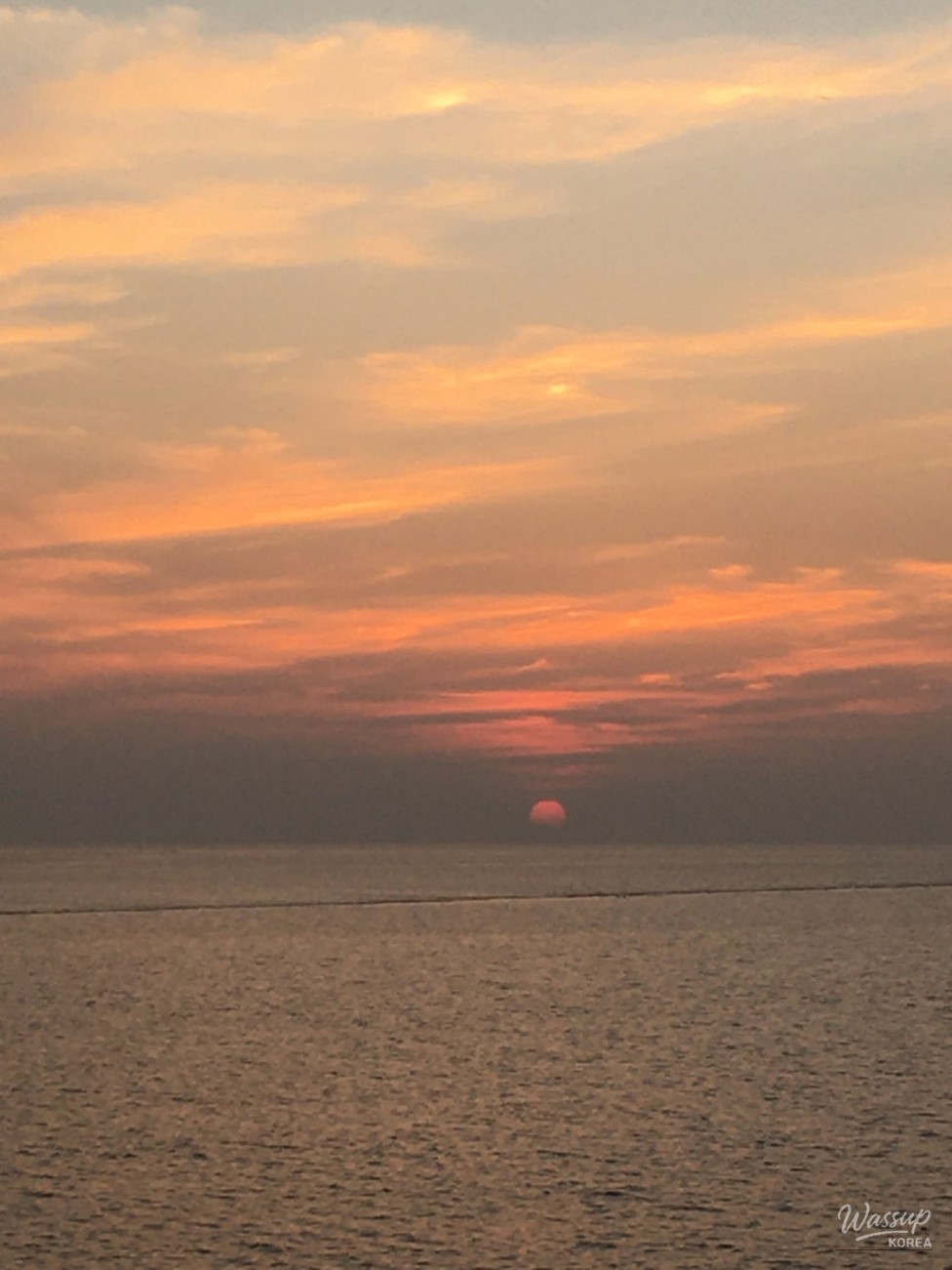 밝은 미래