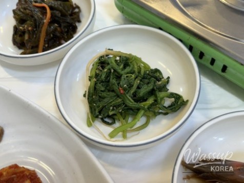 놀라운 광경