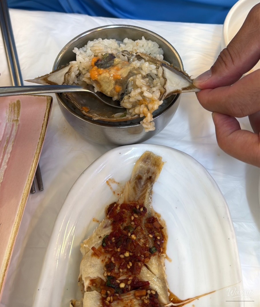 평화로운 풍경