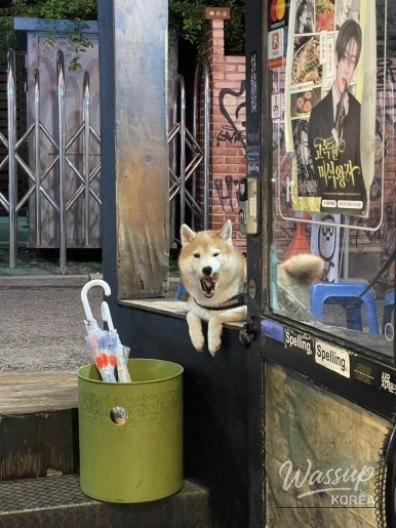 신비로운 모습