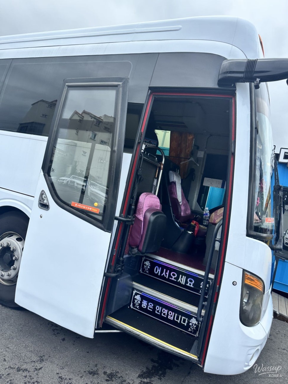신비로운 모습