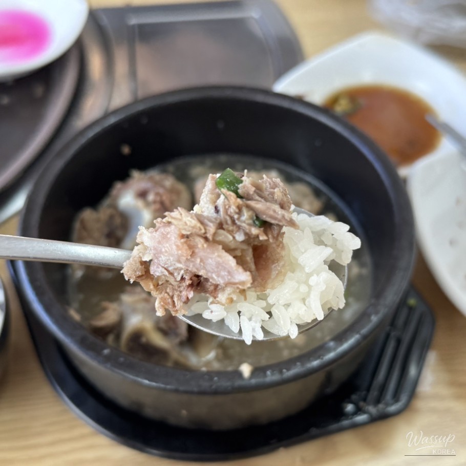 신비로운 모습