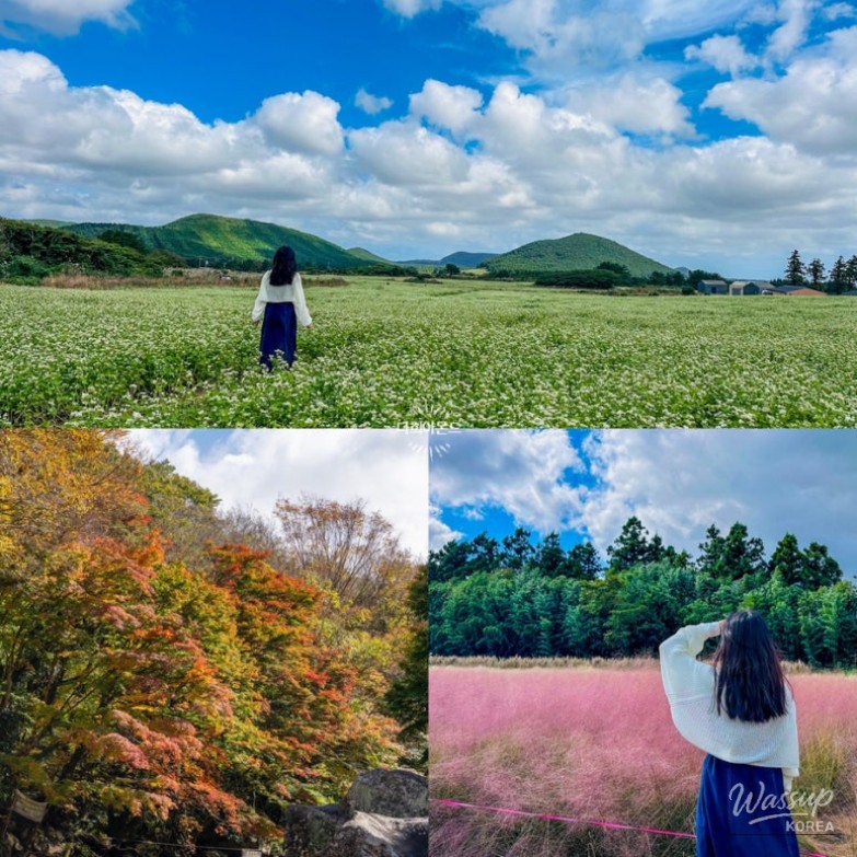 Peaceful Scenery