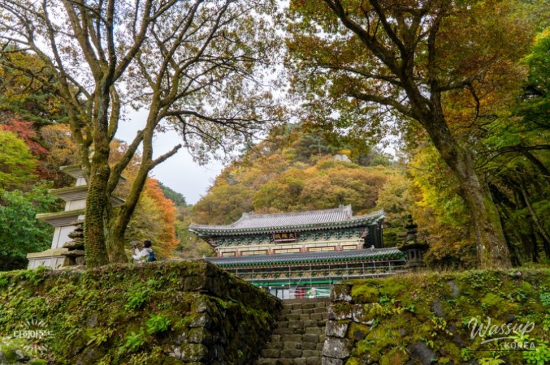 Peaceful Scenery