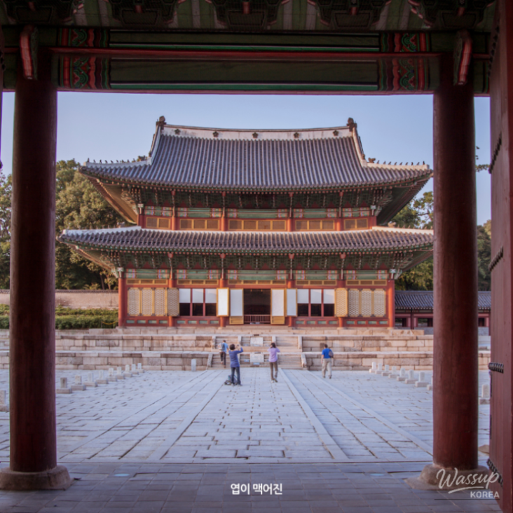 놀라운 광경