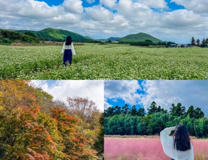 Peaceful Scenery