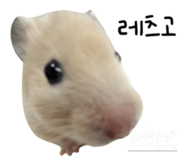감동적인 장면