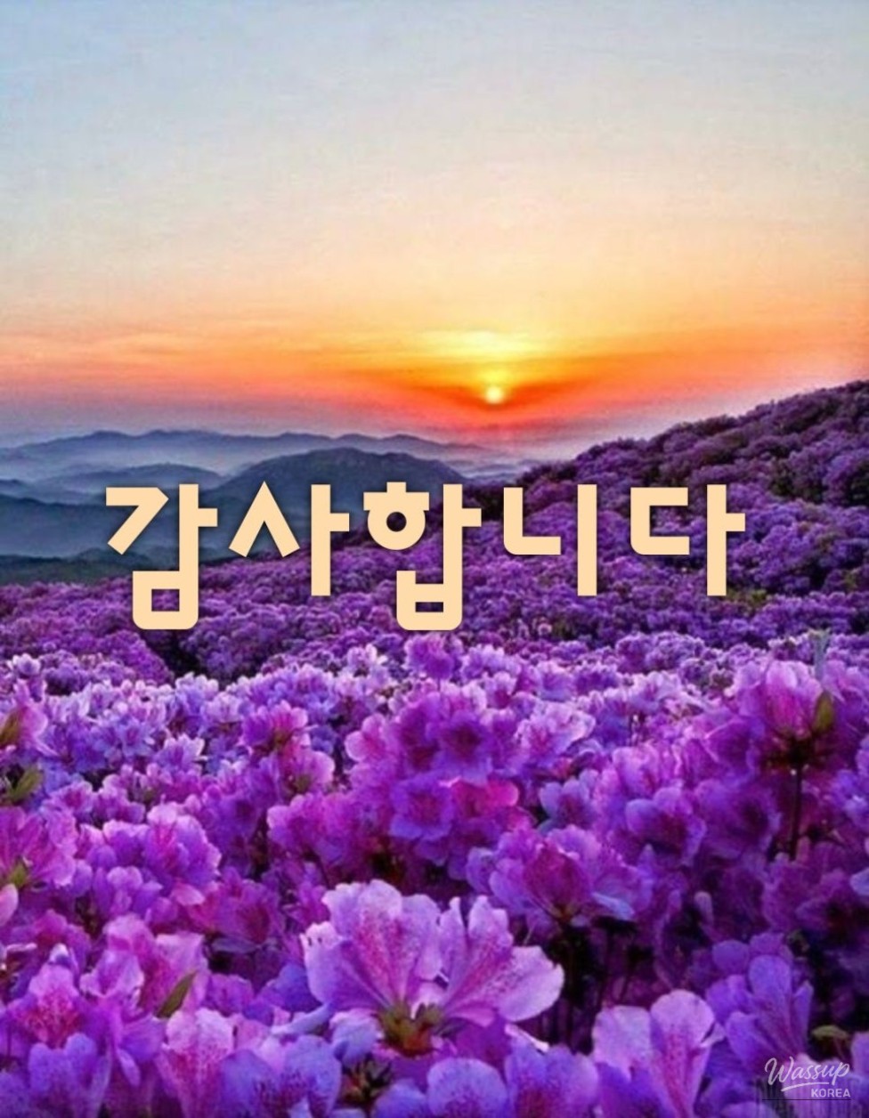 Beautiful scenery