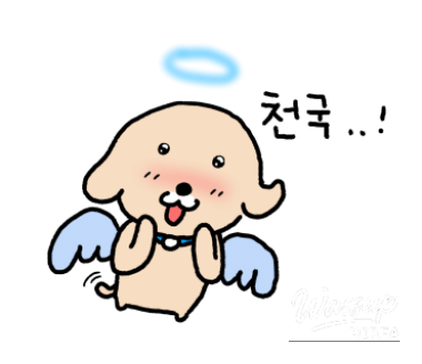 신비로운 모습