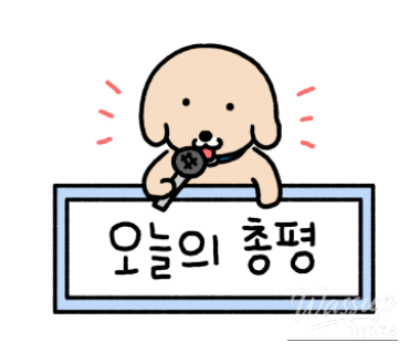 매력적인 사진
