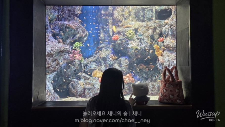 밝은 미래