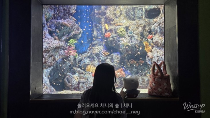 밝은 미래