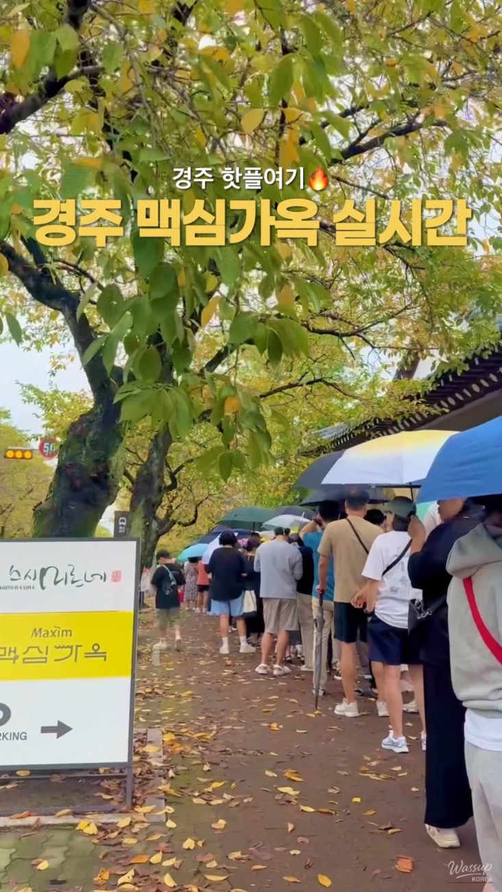 매력적인 사진