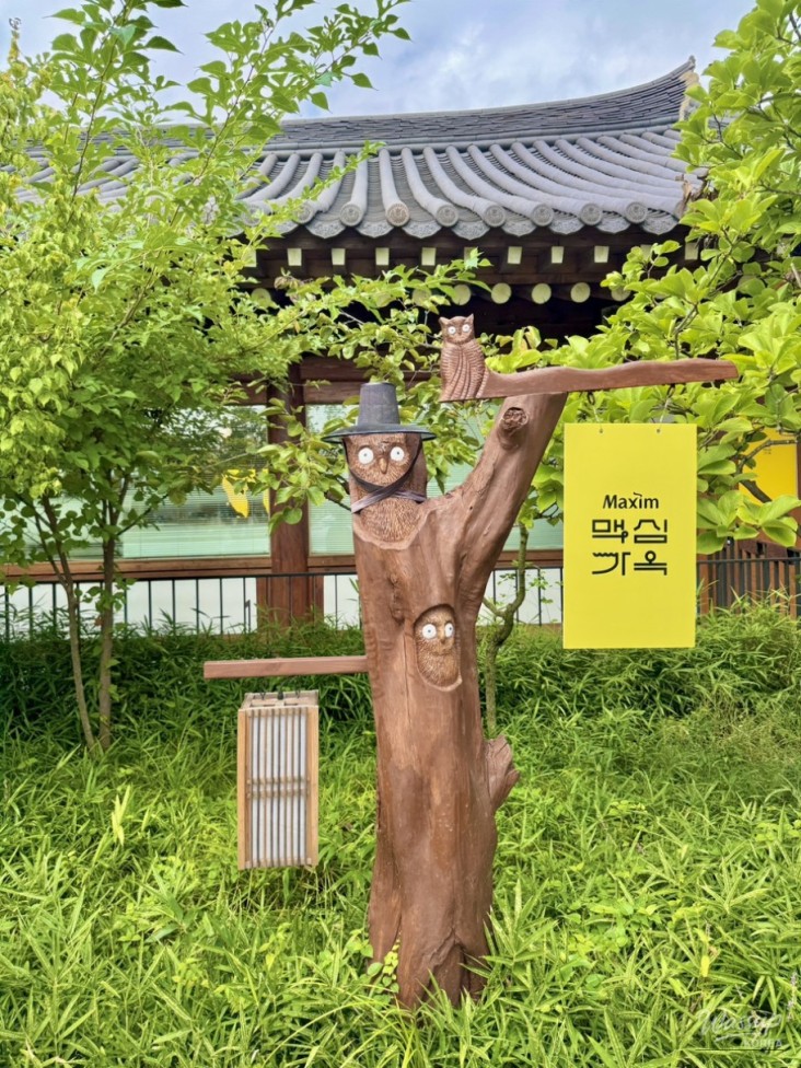 흥미로운 이미지