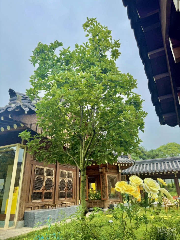 값진 경험