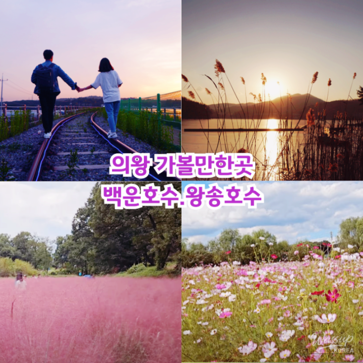 Hopeful Tomorrow