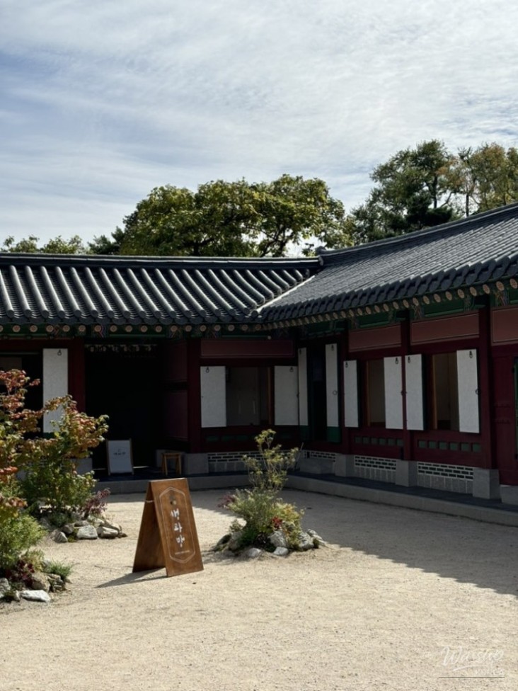놀라운 광경