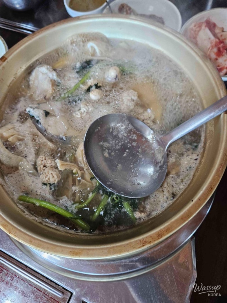 평화로운 풍경