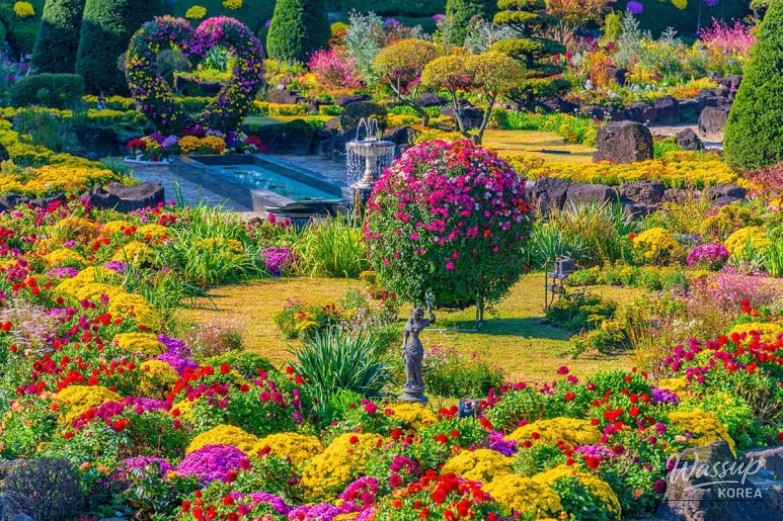 Spectacular Scene