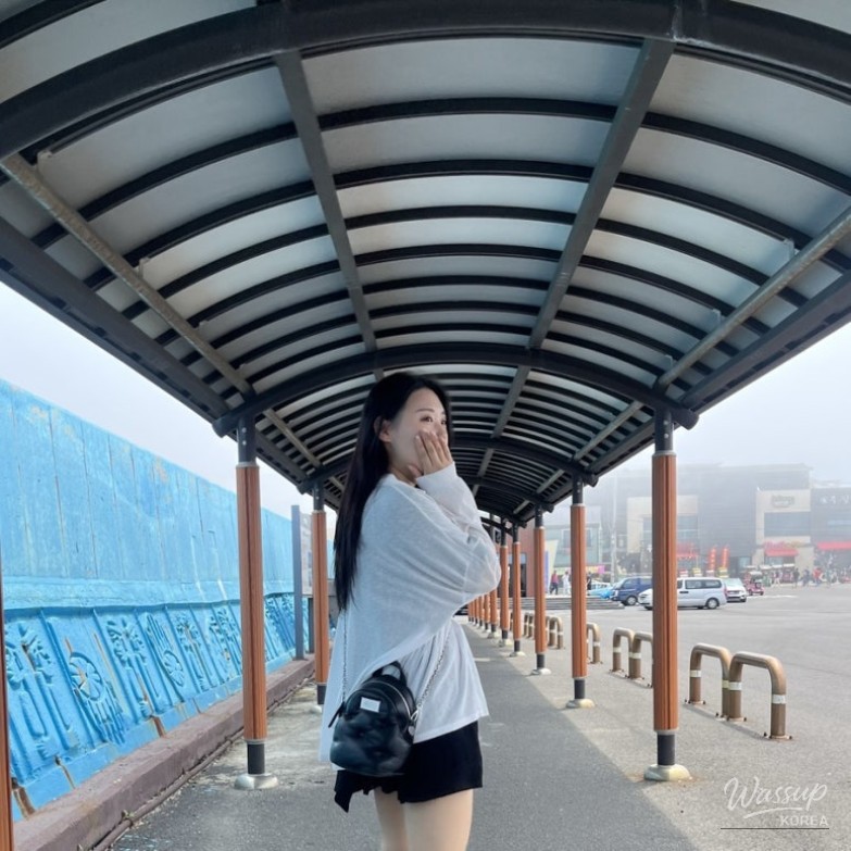 흥미로운 이미지