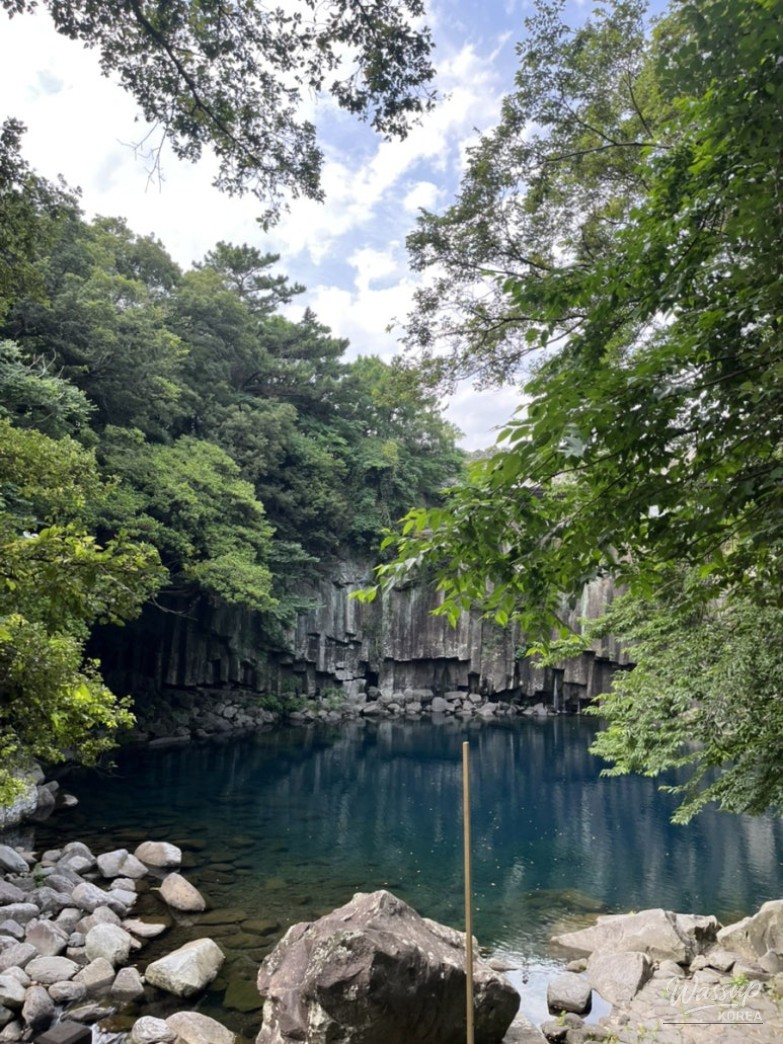 놀라운 광경