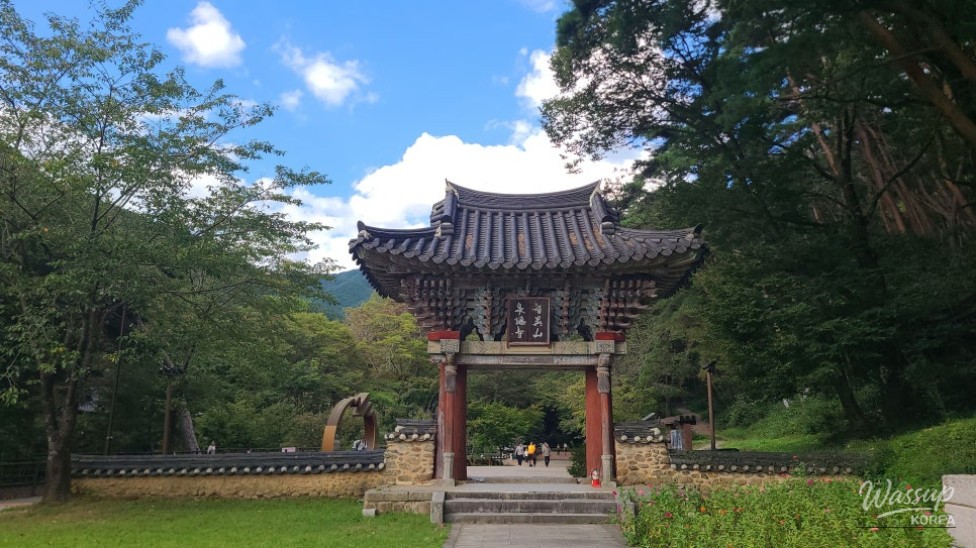 Peaceful Scenery
