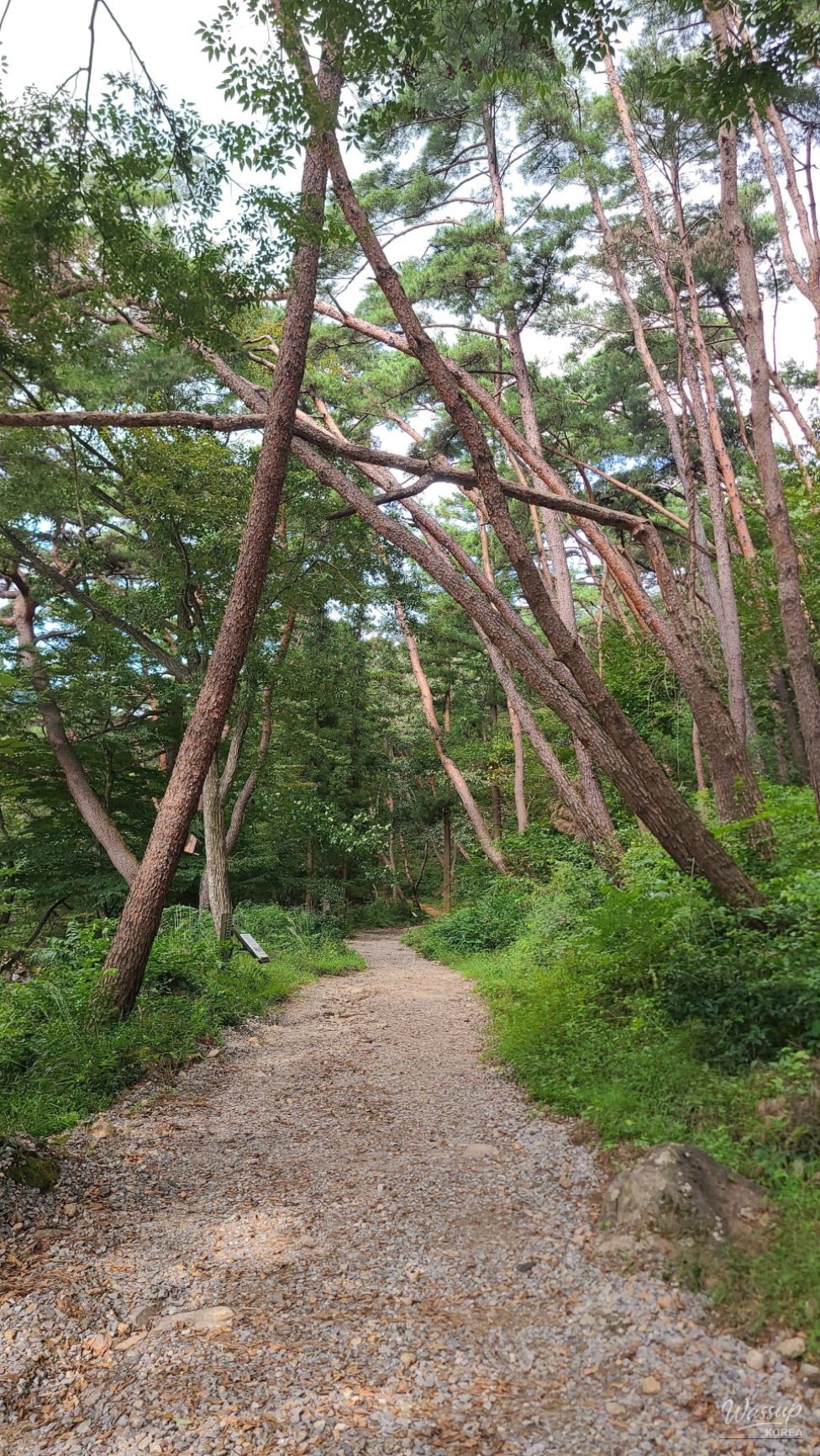 Peaceful Scenery