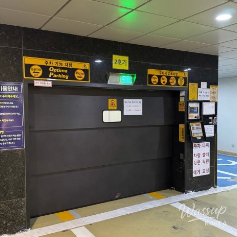 환상적인 장면