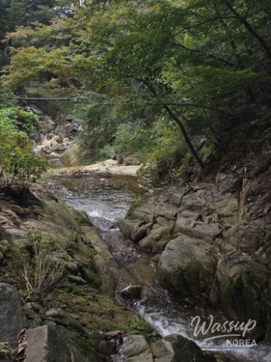 Peaceful Scenery