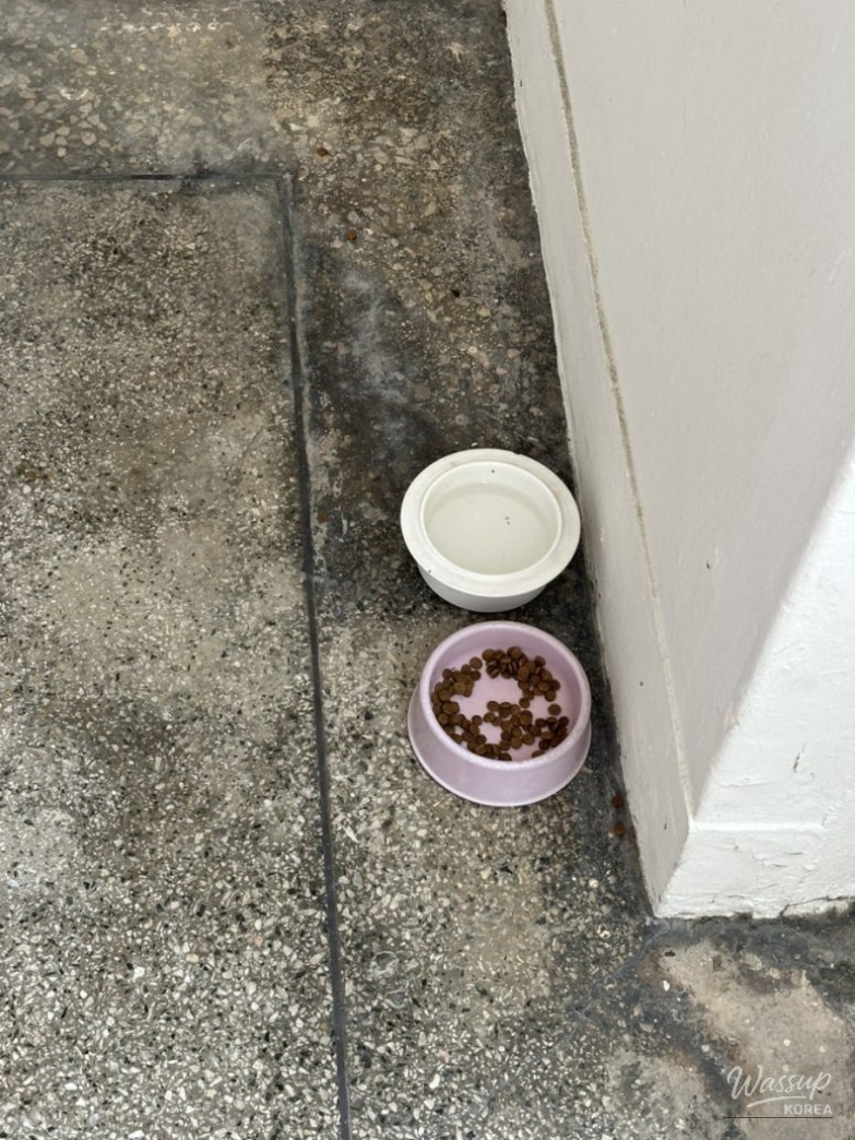 Interesting Image