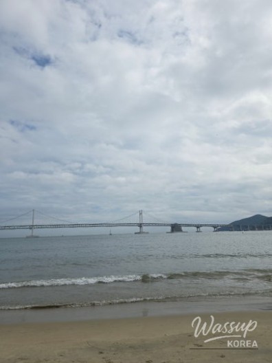 매력적인 사진