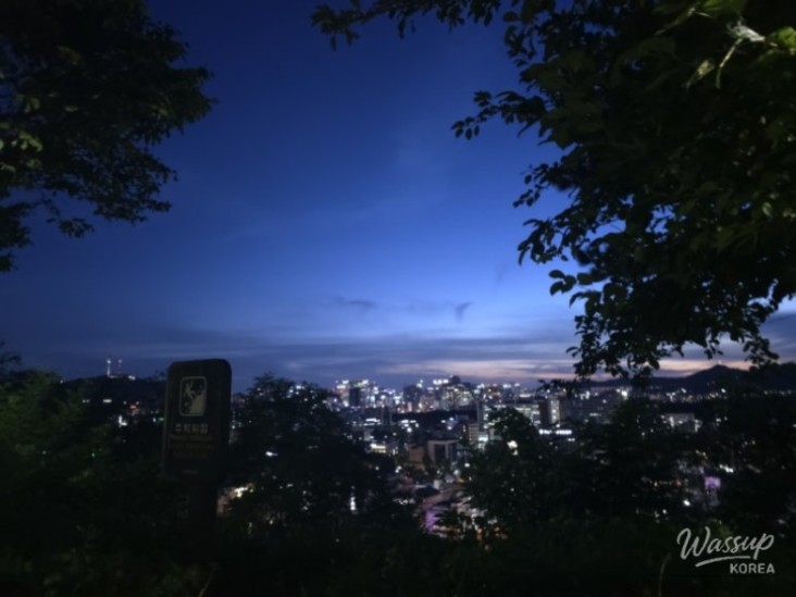 흥미로운 이미지