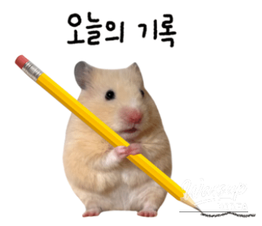 밝은 미래