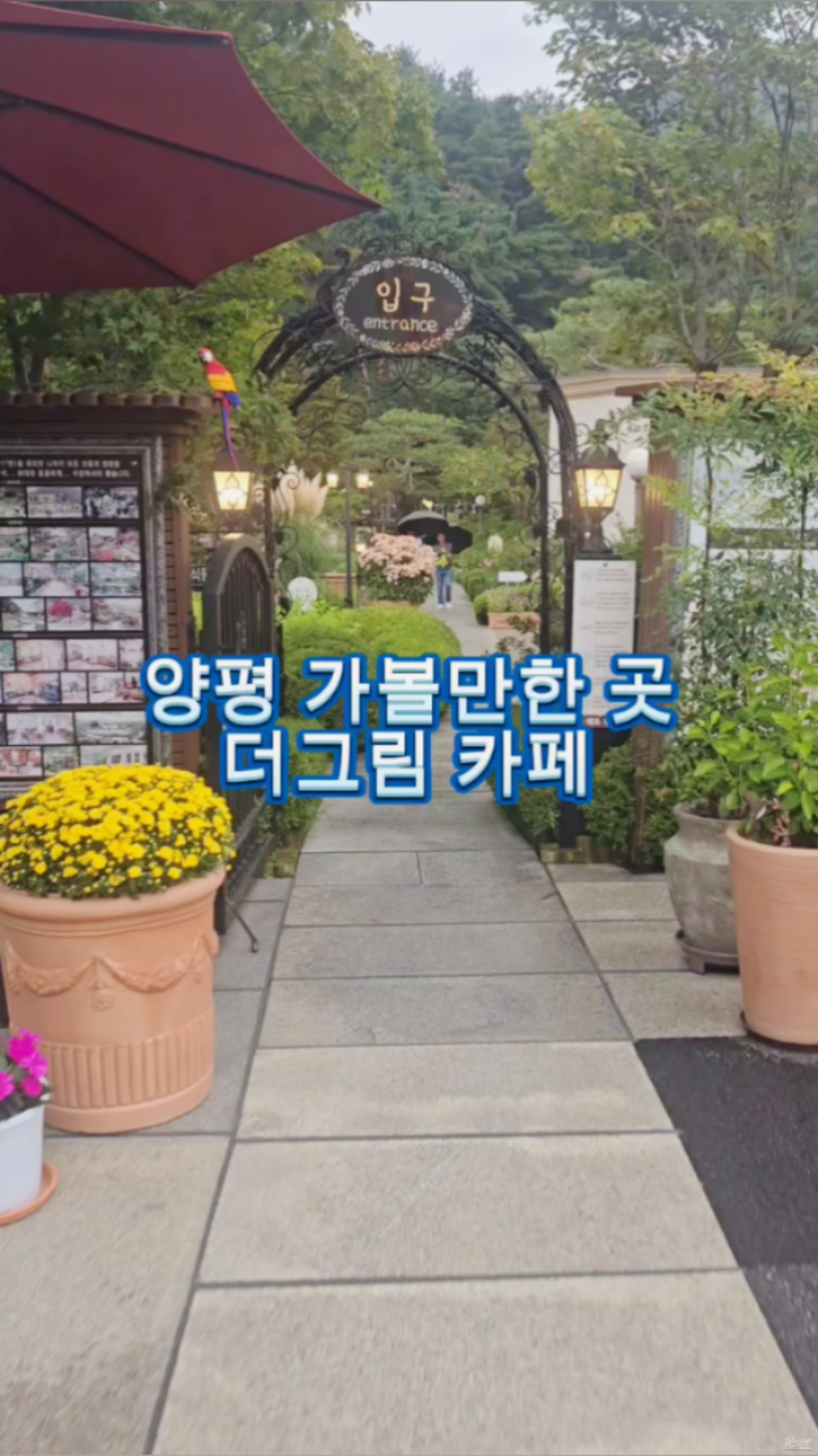 환상적인 장면