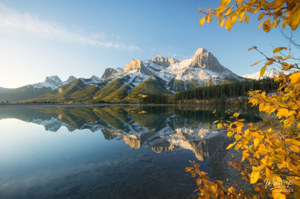 Gorgeous Scene