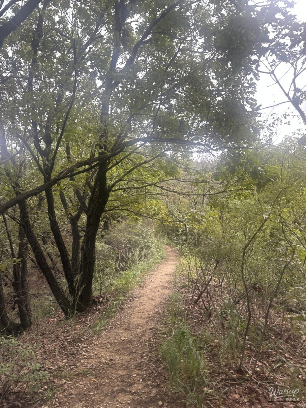 Mysterious Appearance