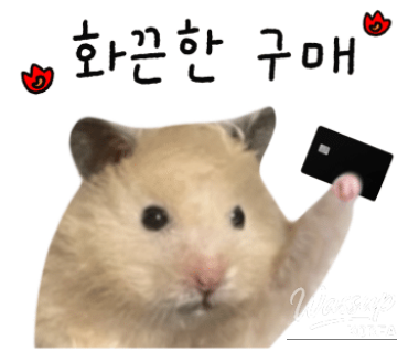 Hopeful Tomorrow
