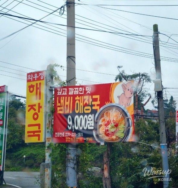 평화로운 풍경