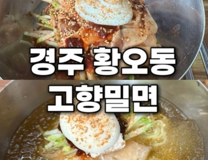 A Taste of Local Flavor: Gohyang Milmyeon Main Branch in Gyeongju688