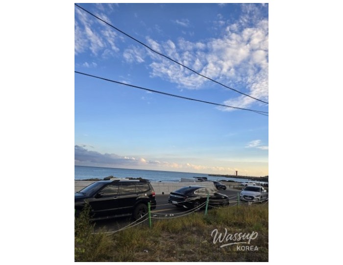Go-Young Cafe: A Peaceful Getaway Near the Osiria Coast in Busan179