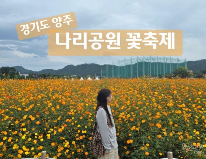 Nari Park Festival Review: A Floral Delight in Yangju98