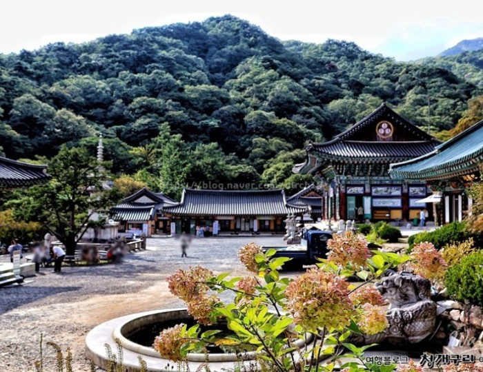 A Day Trip to Yongmunsa Temple in Yangpyeong: Nature, History, and Healing Near Seoul99